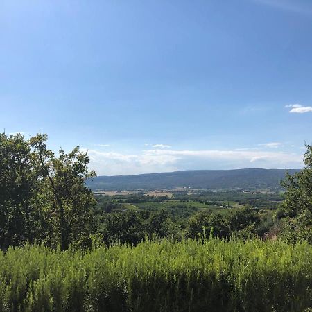 Gite Roussillon Dame Sirmonde公寓 外观 照片