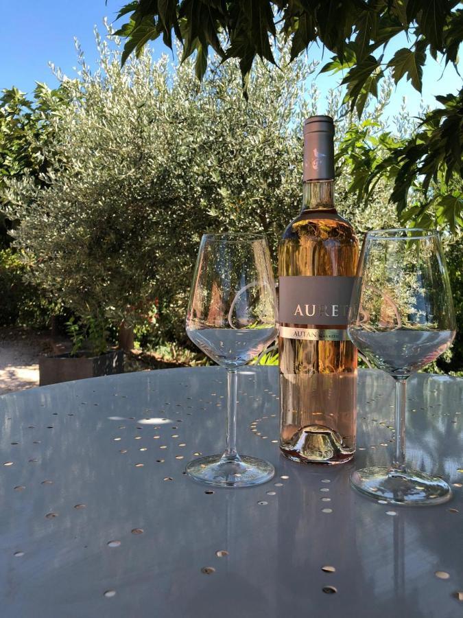 Gite Roussillon Dame Sirmonde公寓 外观 照片